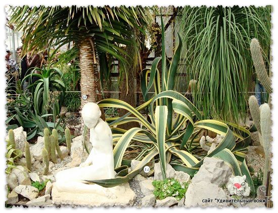 Оранжерея ботанического сада в Крыму