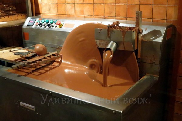 мастерская шоколада во Львове