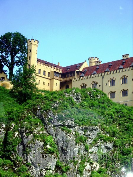 желтый замок Хоэншвангау