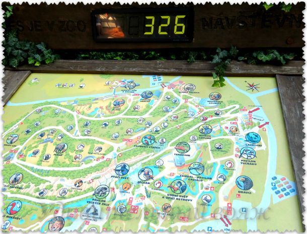 карта зоопарка в Праге