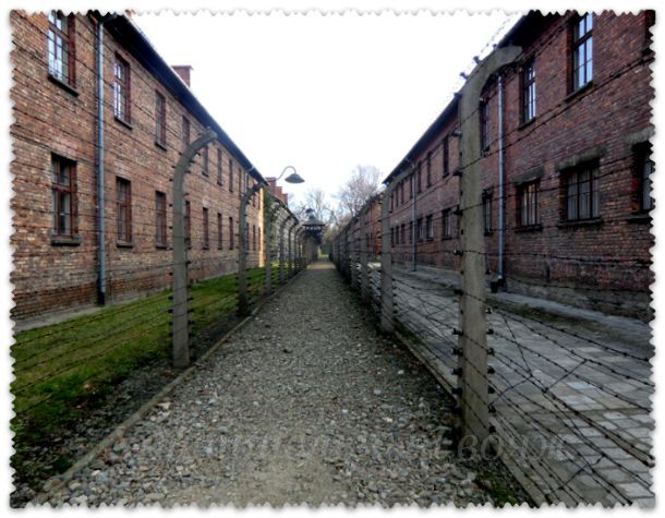 лагерь Освенцим