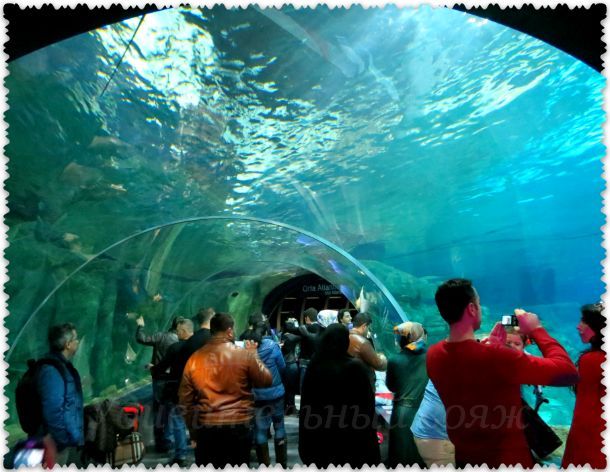 podvodnyj tonnel v akvariume Stambule Florija