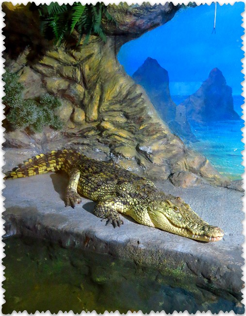 krokodilovaja ferma v Jalte